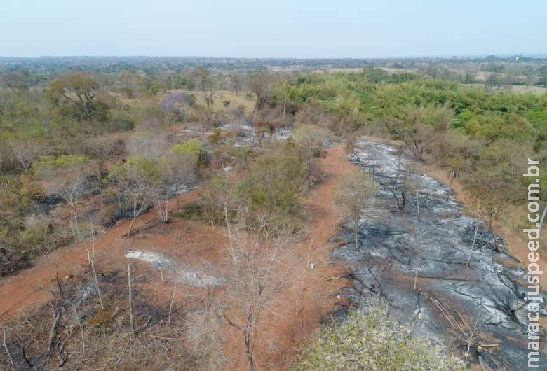 Sem-terra é multado em R$ 10 mil por incêndio de área de matas ciliares