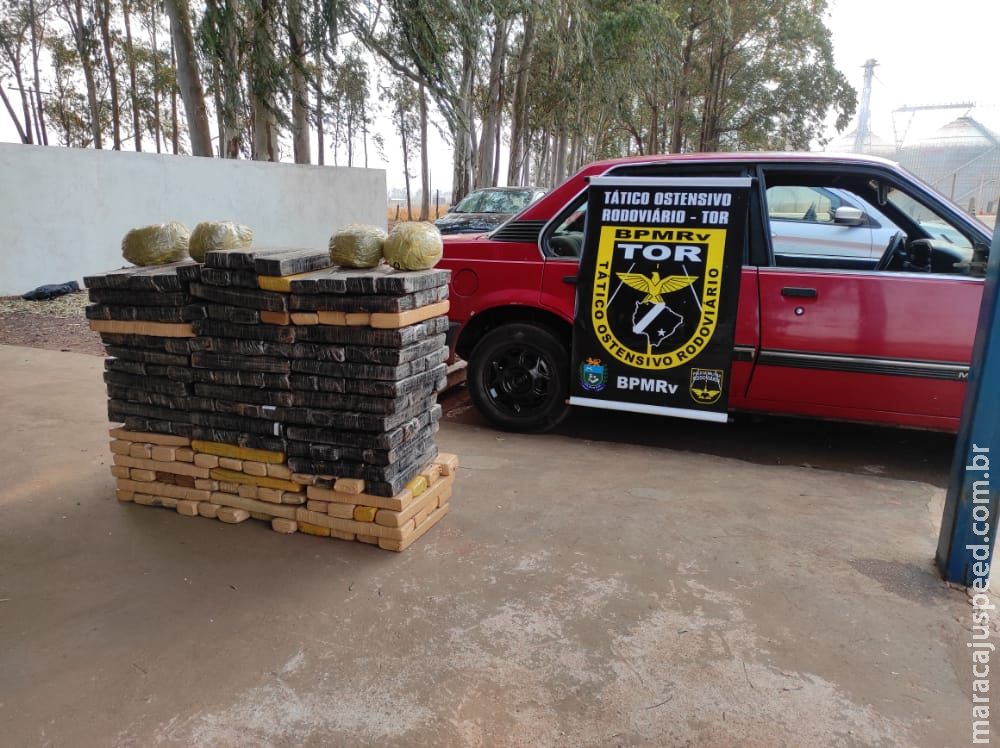 Tático ostensivo rodoviário apreende 221 quilos de maconha, traficantes e batedores foram presos