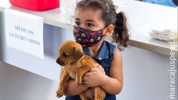 4ª edição da feira de doação de gatos e cães será realizada na Cidade Morena