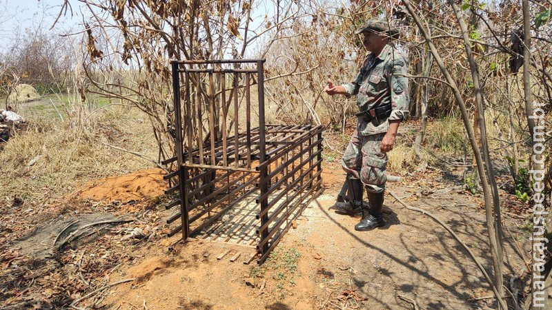 Caçador é autuado por captura e abate de animais silvestres e apreende armadilha Caçador é autuado por captura e abate de animais silvestres e apreende armadilha