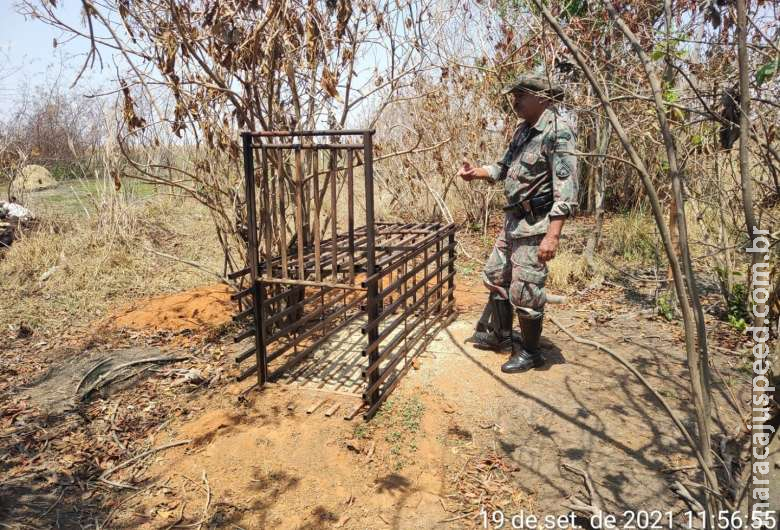 Caçador é multado por abate de dois catetos em MS