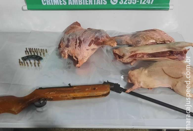 Caçador é preso e multado com arma, munições e animais abatidos Caçador é preso e multado com arma, munições e animais abatidos