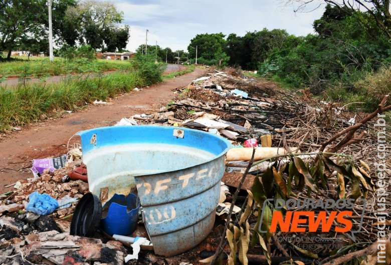 Com 11,2 mil notificações, MS tem quarta maior incidência de dengue do país