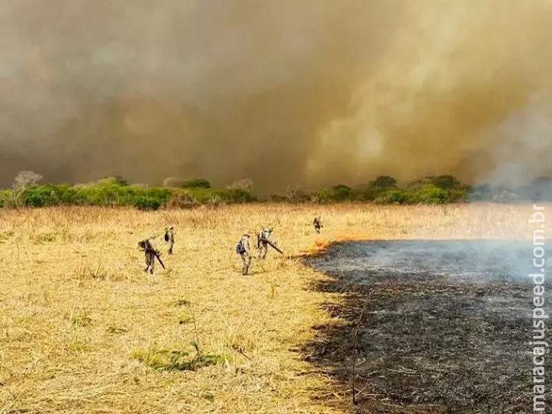 Combate aos incêndios no Pantanal mobilizam 510 homens e seis aeronaves: incidência de focos é menor em três anos críticos