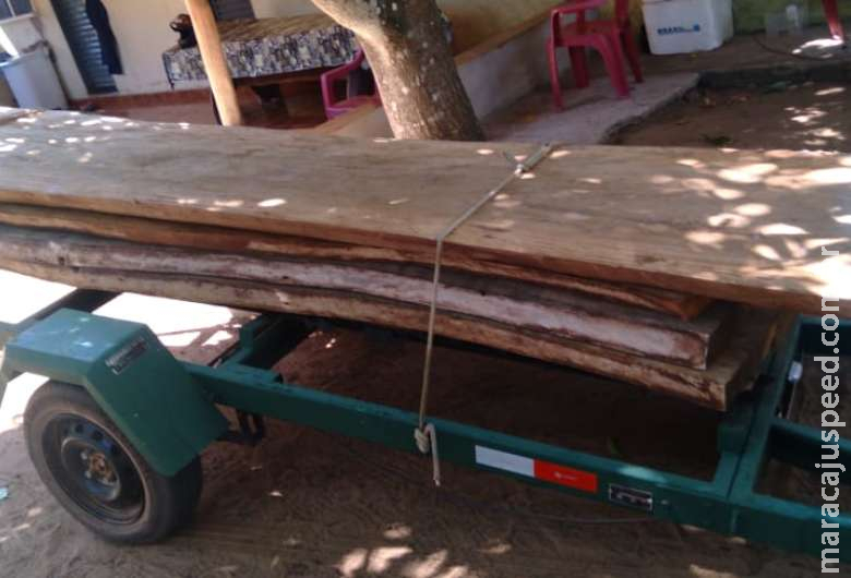 Dono de pesqueiro é atuado em R$ 2,4 mil por armazenamento de madeira ilegal