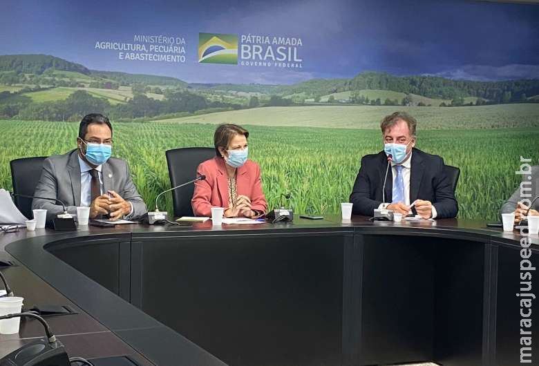 Em agenda com Neno, Tereza Cristina anuncia R$ 164 mi em investimentos de maquinários Em agenda com Neno, Tereza Cristina anuncia R$ 164 mi em investimentos de maquinários