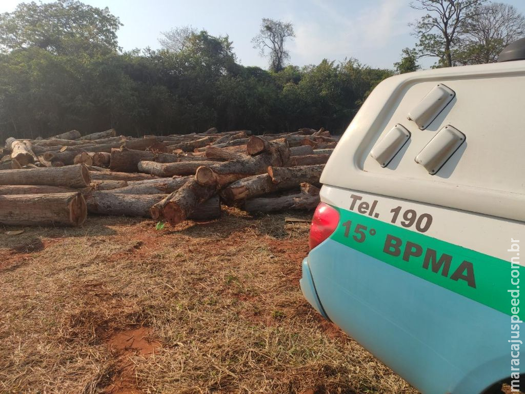 Em Santa Rita do Pardo, PMA autua arrendatário paulista por derrubar árvores e enterrar a madeira