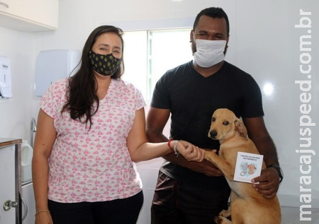 Em Sidrolândia, Castramóvel já operou mais de 50 animais Em Sidrolândia, Castramóvel já operou mais de 50 animais