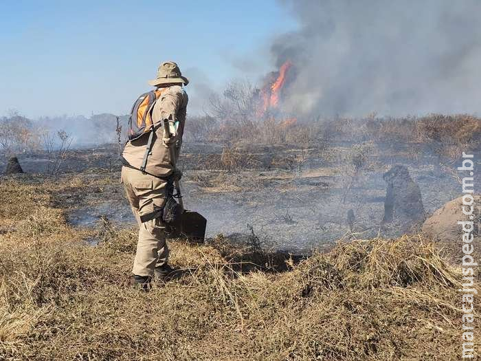 Entre resgates e socorros, Corpo de Bombeiros atuam em mais 7 mil incêndios em MS 