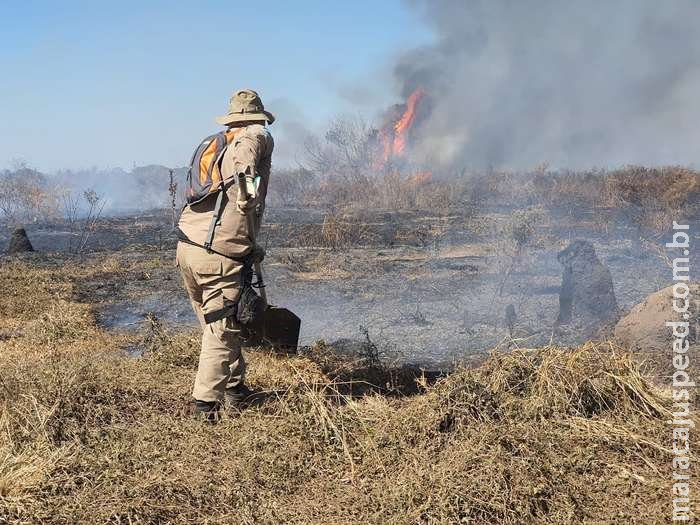 Entre resgates e socorros, Corpo de Bombeiros atuam em mais 7 mil incêndios em MS Entre resgates e socorros, Corpo de Bombeiros atuam em mais 7 mil incêndios em MS