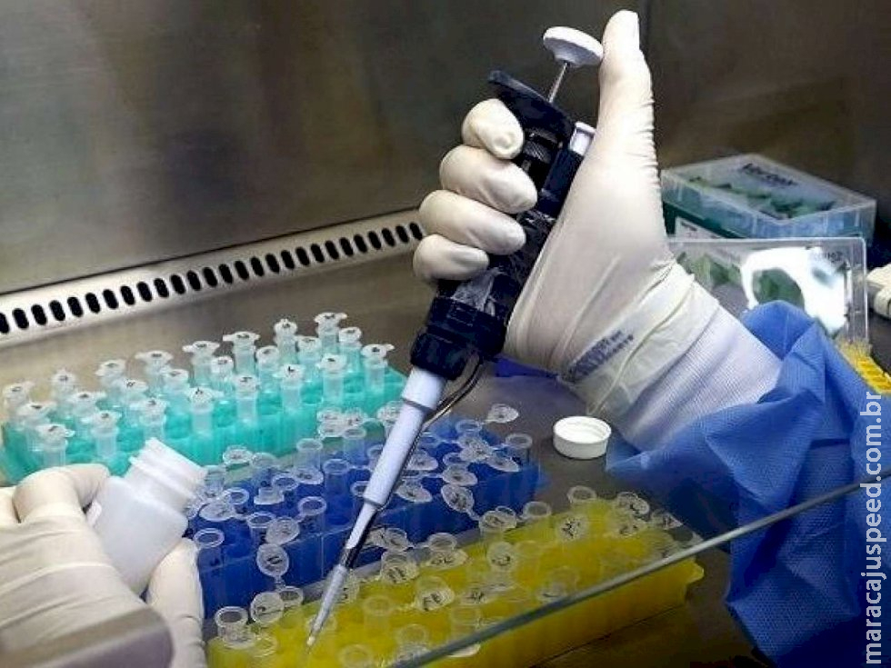 Estado soma 260 novos casos de coronavírus em dia com 11 óbitos Estado soma 260 novos casos de coronavírus em dia com 11 óbitos