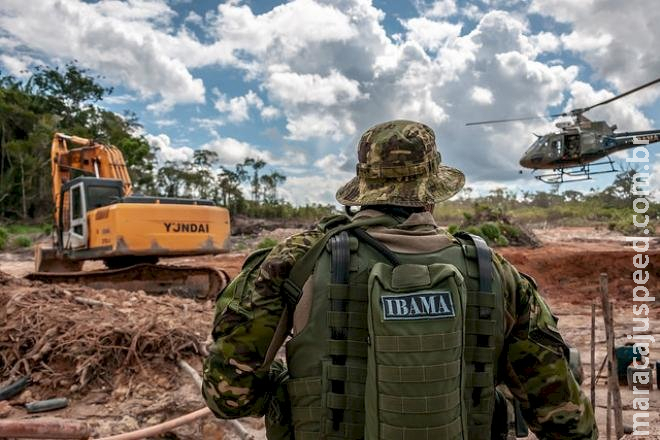 Governo Federal autoriza concurso do Ibama com 568 vagas disponíveis 