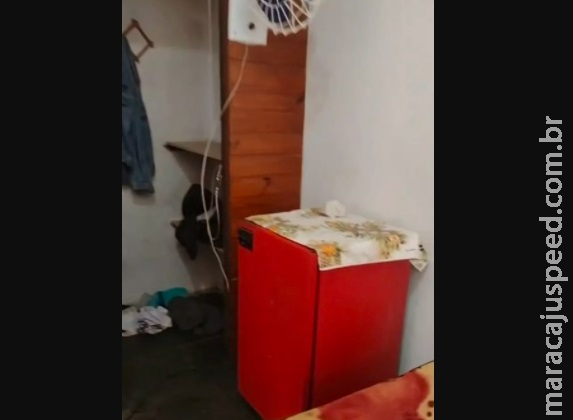 Homem mata colega, corta o pênis e põe na panela após recusar sexo