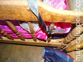 Jovem e adolescente confessam terem matado idoso de 81 anos em MS e alegam tentativa de abuso Jovem e adolescente confessam terem matado idoso de 81 anos em MS e alegam tentativa de abuso