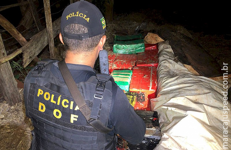 Mais de 670 quilos de drogas foram apreendidos pelo DOF em Douradina Mais de 670 quilos de drogas foram apreendidos pelo DOF em Douradina
