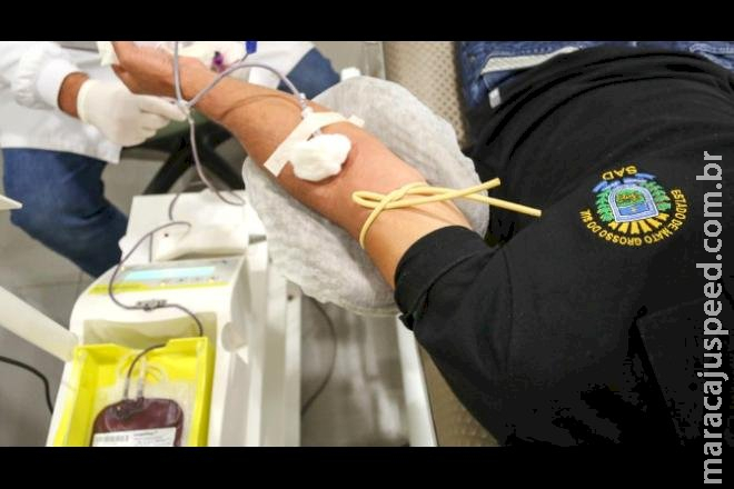 Mesmo recebendo 217 bolsas de sangue do Ceará, MS segue em emergência para tipos O+ e O- 