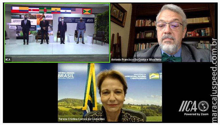 Ministra Tereza Cristina é eleita presidente da Junta Interamericana de Agricultura Ministra Tereza Cristina é eleita presidente da Junta Interamericana de Agricultura