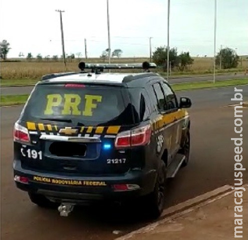 Motorista é flagrado pela PRF com veículo adulterado e registro de furto