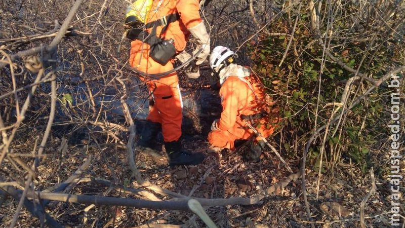 Operação Guardiões do Bioma combateu 5,5 mil incêndios em agosto