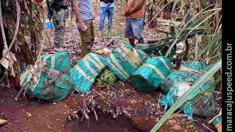 Para enganar polícia, traficantes enterravam maconha em covas na fronteira Para enganar polícia, traficantes enterravam maconha em covas na fronteira