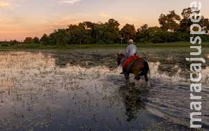 Peão morre após acidente com égua em fazenda