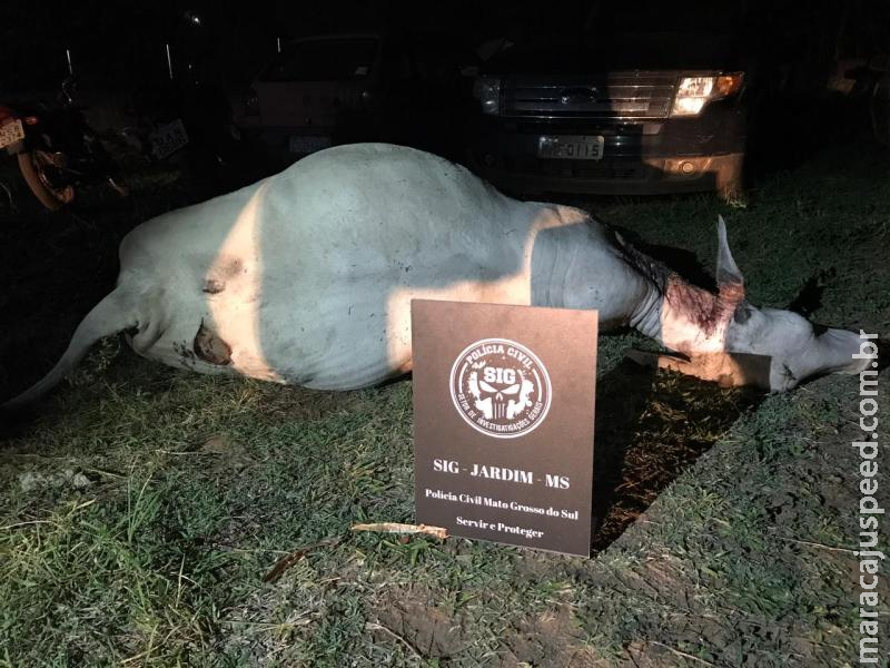 Polícia civil de Jardim prende suspeitos de comercializar carne ilegal Polícia civil de Jardim prende suspeitos de comercializar carne ilegal
