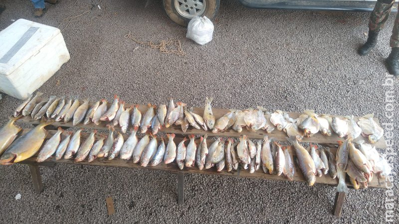 Polícia prende um por pesca e transporte de pescado ilegal