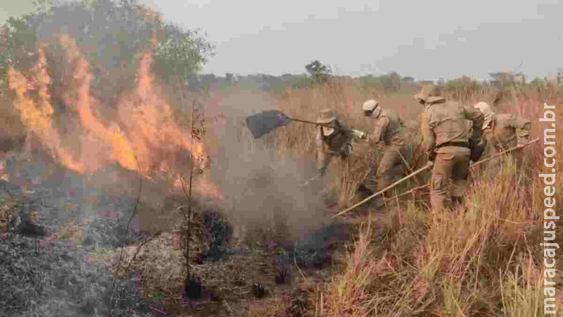 Porto Esperança conta com duas frentes de combate ao incêndio no Pantanal em MS Porto Esperança conta com duas frentes de combate ao incêndio no Pantanal em MS