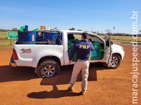 PRF apreende 1.664 Kg de maconha, haxixe, munições e recupera caminhonete em Sidrolândia PRF apreende 1.664 Kg de maconha, haxixe, munições e recupera caminhonete em Sidrolândia