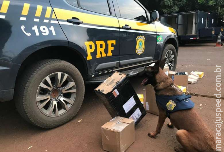 PRF e Correios fazem operação e flagram encomendas com LSD, maconha e ecstasy PRF e Correios fazem operação e flagram encomendas com LSD, maconha e ecstasy