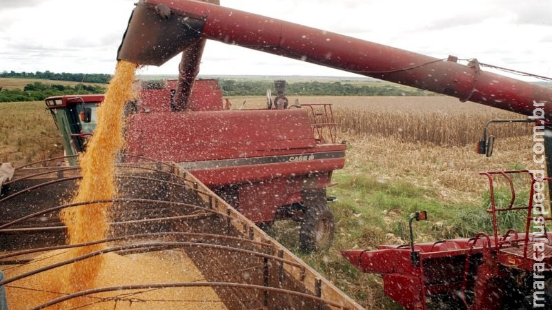 Produção agrícola de MS cresceu 53,6% em 2020 e atingiu o valor recorde de R$ 29,5 bilhões Produção agrícola de MS cresceu 53,6% em 2020 e atingiu o valor recorde de R$ 29,5 bilhões