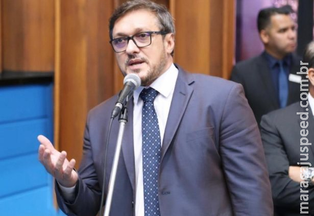 Projeto quer que animais nas rodovias sejam resgatados por concessionárias em MS Projeto quer que animais nas rodovias sejam resgatados por concessionárias em MS