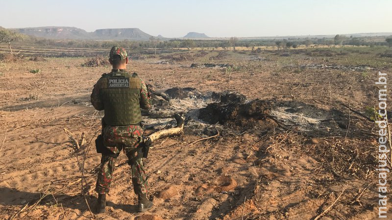 Proprietário rural é autuado por incendiar restos de vegetação em leiras Proprietário rural é autuado por incendiar restos de vegetação em leiras