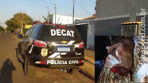 Revólver usado por autor que matou pitbull Zeus a tiros em condomínio é apreendido