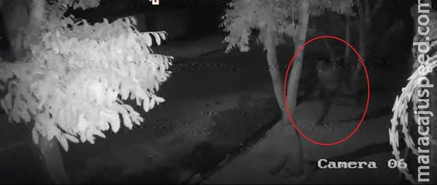 ‘Saci do crime’ aterroriza bairros de Três Lagoas