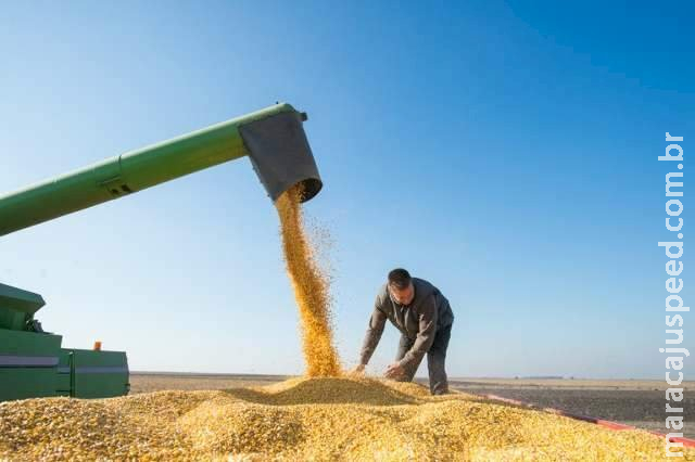 Safra 20/21 cai 1,8% e é estimada em 252,3 milhões de toneladas de grãos Safra 20/21 cai 1,8% e é estimada em 252,3 milhões de toneladas de grãos