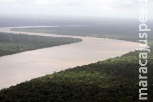 Sem Fundo Amazônia, Pará cria iniciativa estadual para tentar captar verbas Sem Fundo Amazônia, Pará cria iniciativa estadual para tentar captar verbas