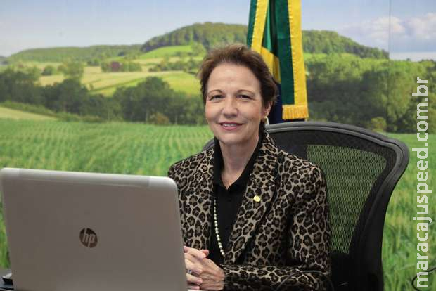 Tereza Cristina é eleita presidente da Junta Interamericana de Agricultura Tereza Cristina é eleita presidente da Junta Interamericana de Agricultura