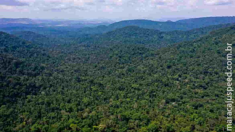 Unesco e Amazonas lançam plano de ação para Amazônia Central