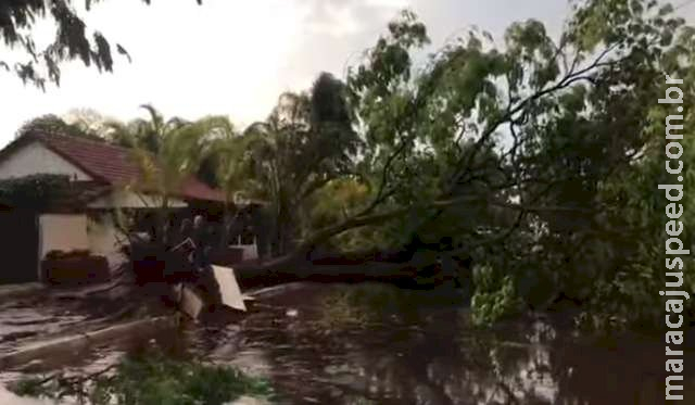 Ventos de até 90 km por hora arrancam telhado e derrubam árvores em Itaporã 