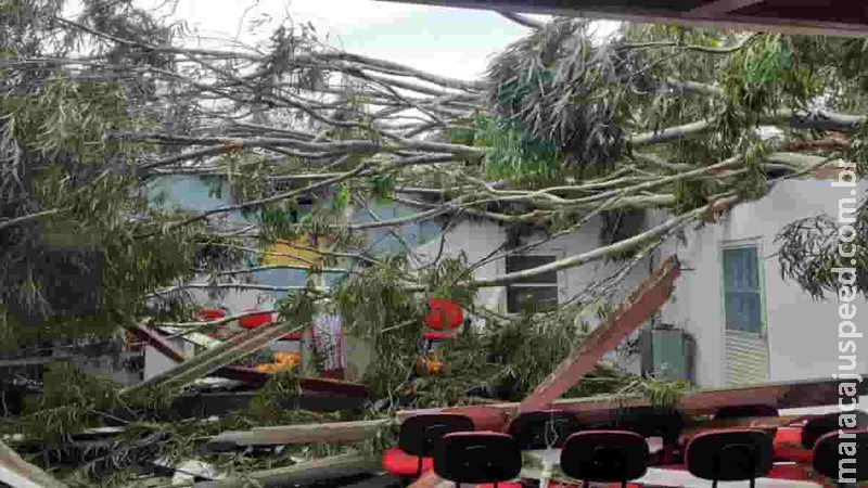 Abrigada em casa de amiga, pastora aguarda remoção de árvore que destruiu casa e igreja no Aero Rancho Abrigada em casa de amiga, pastora aguarda remoção de árvore que destruiu casa e igreja no Aero Rancho