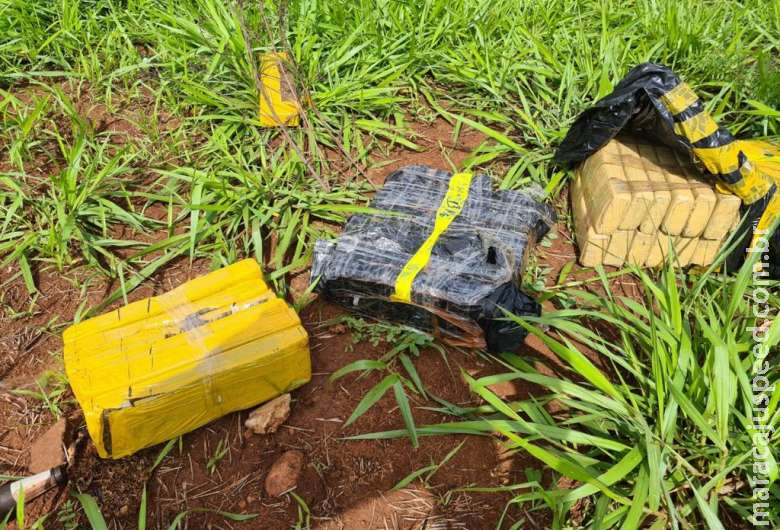 Após denúncias, Guarda localiza maconha na Via Parque Após denúncias, Guarda localiza maconha na Via Parque