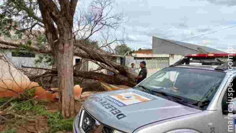 Após novo temporal com mais estragos em Dourados, prefeitura retoma força tarefa Após novo temporal com mais estragos em Dourados, prefeitura retoma força tarefa