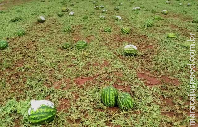 Após “vendaval, chuva e pedra”, Eldorado vai decretar emergência