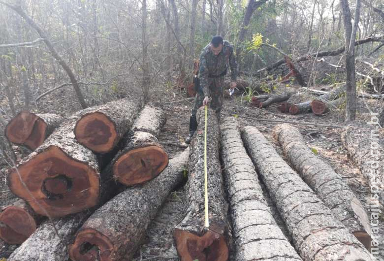 Assentado é multado em R$ 16 mil por exploração ilegal de madeira Assentado é multado em R$ 16 mil por exploração ilegal de madeira