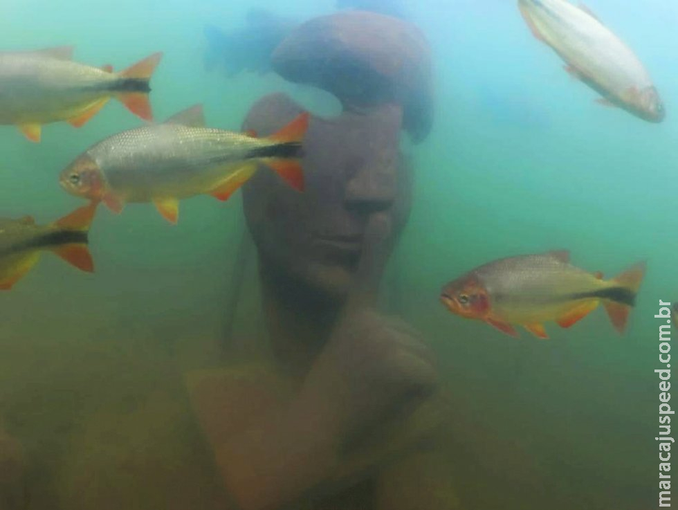 Bonito ganhará primeiro museu subaquático de água doce do mundo Bonito ganhará primeiro museu subaquático de água doce do mundo