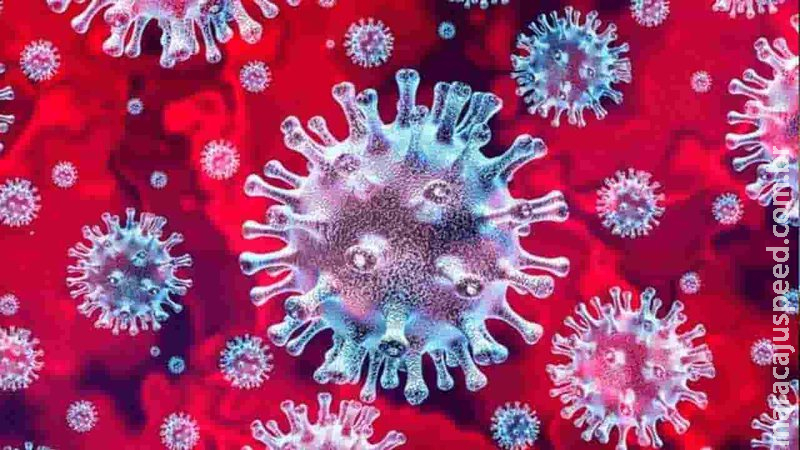 Brasileiro está entre em grupo da OMS que estudará origem do novo coronavírus
