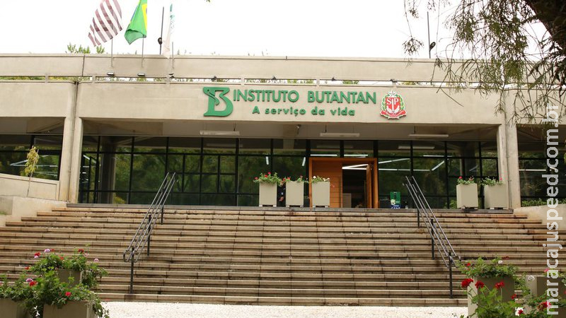 Butantan mostra a dinâmica de introdução do novo coronavírus no Brasil