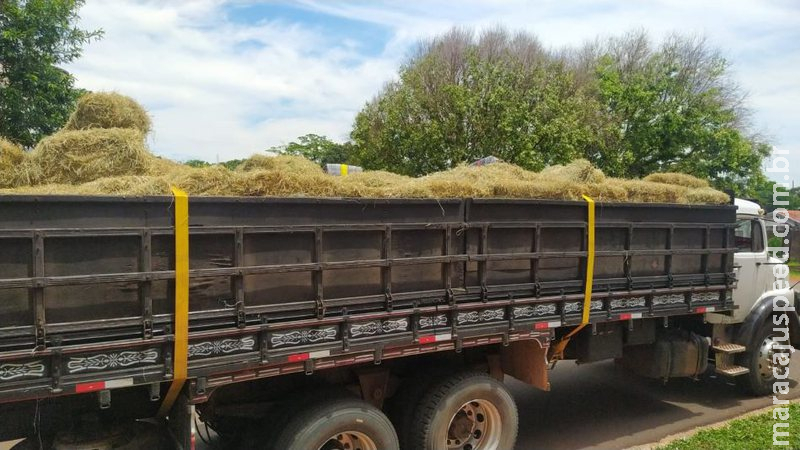 Carga de feno recheada com maconha é apreendida na fronteira Carga de feno recheada com maconha é apreendida na fronteira