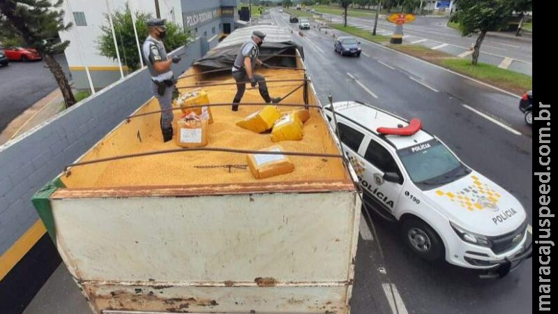 Carreta de Campo Grande é apreendida com mais de 12 toneladas de maconha em SP